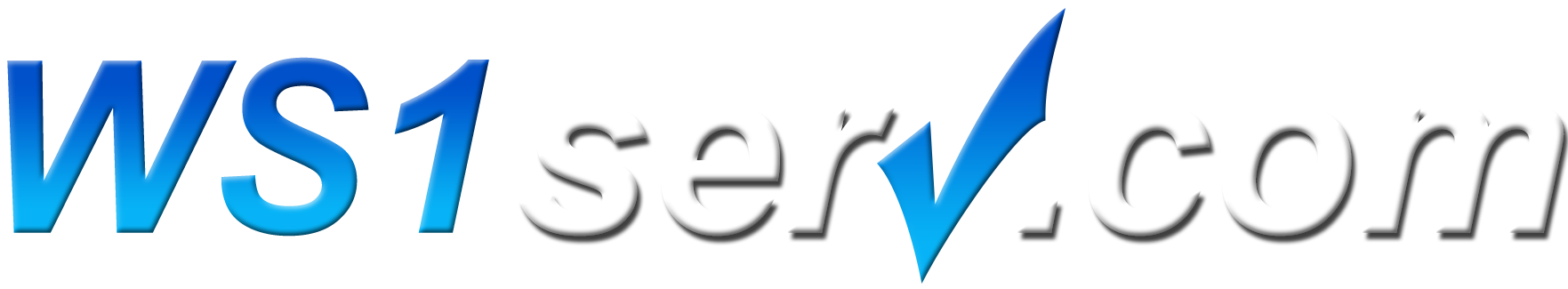 WS1